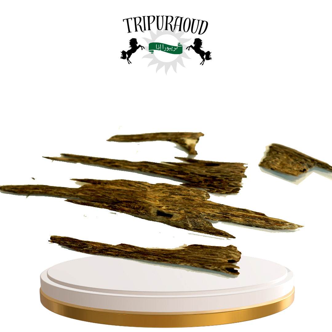 Ancient Tripura Oud Agarwood Chips By TripurAgar - | Rare | Natural | HandCrafted | CITES CERTIFIED | Exotic Hindi Oud