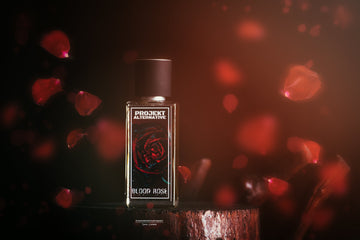 Projekt Alternative Launches