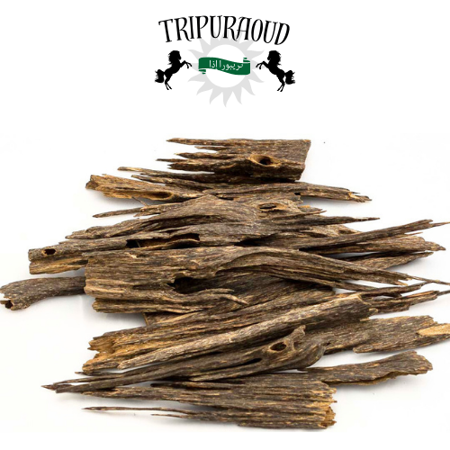 Super Kadamtala Agarwood | Oud Chips By TripurAgar - Incense | Oud | Bakhoor | Natural | HandCrafted | | Exotic Hindi Oud