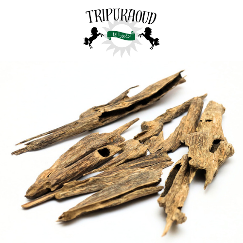 Tripura Rahasya - I (Oud Oil + Agarwood) by TripurAgar - Artisnal | Oud Oil | Agarwood | Combo | | Exotic Hindi Oud