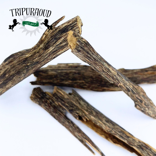 Ancient Tripura Oud Agarwood Chips By TripurAgar - | Rare | Natural | HandCrafted | CITES CERTIFIED | Exotic Hindi Oud