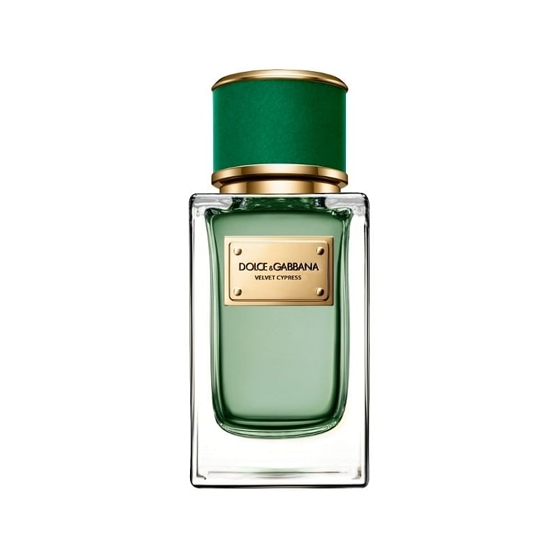 Dolce & Gabbana Velvet Cypress For Men And Women Eau De Parfum 150Ml