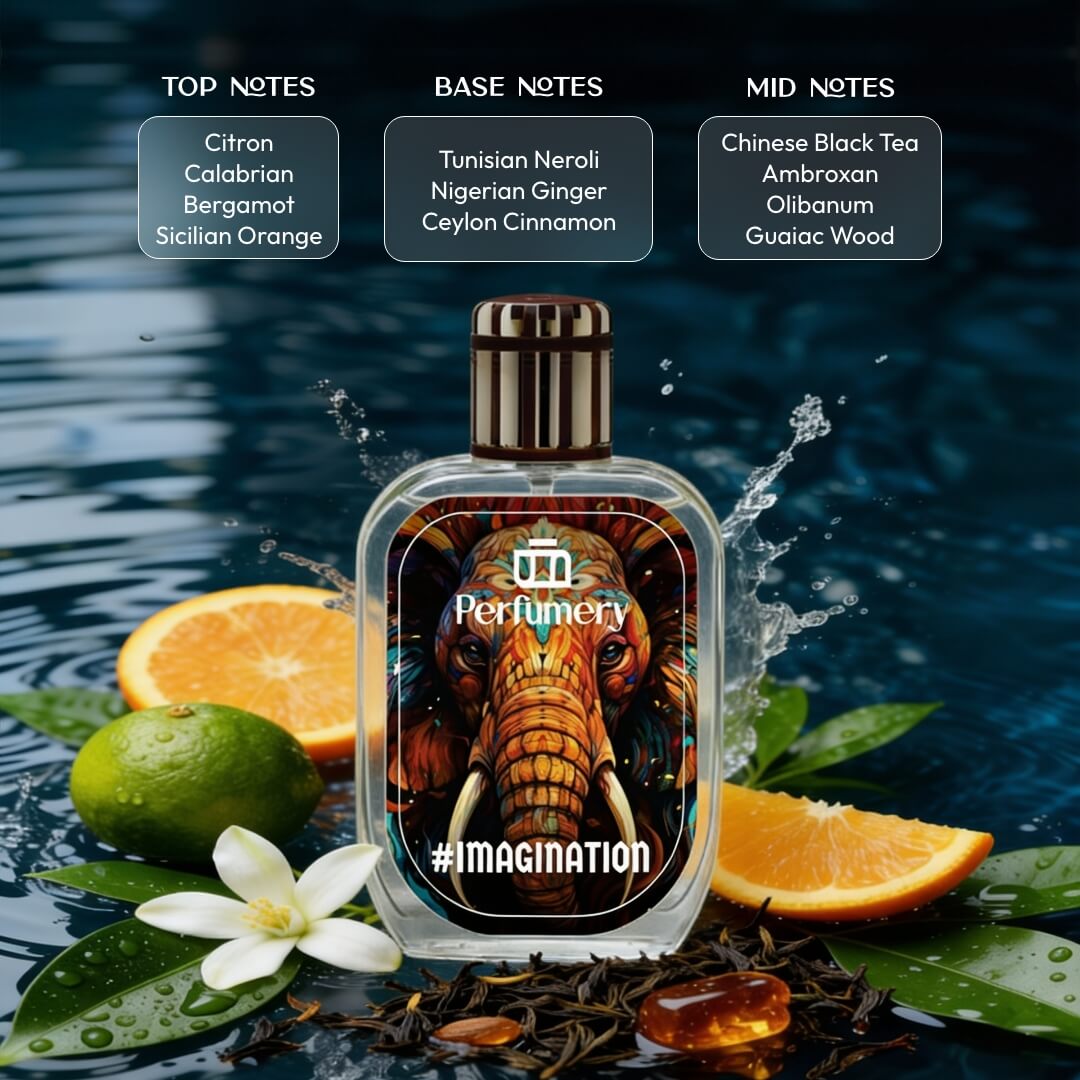 #Imagination By Projekt Alternative