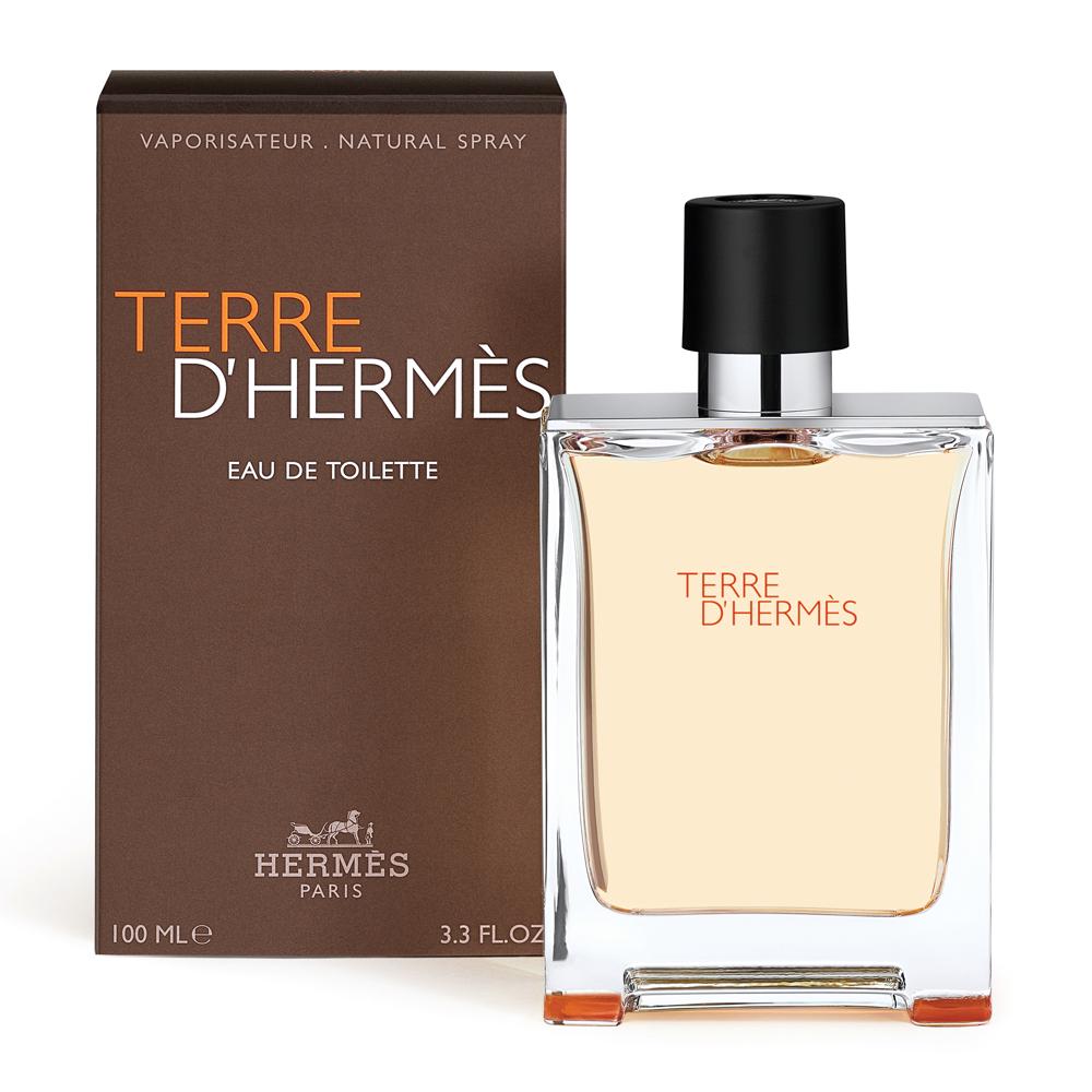 Terre D'Hermes By Hermes100MLEau De Toilette 
